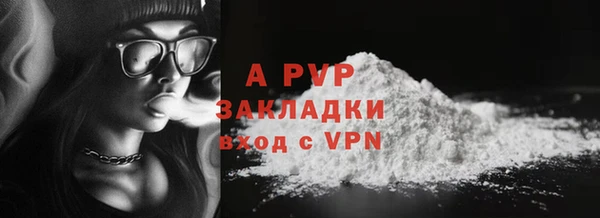 гидра Нея