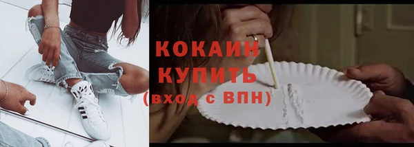 гидра Нея
