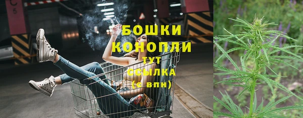 гидра Нея