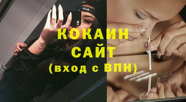 гидра Нея