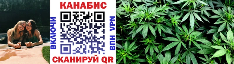 Шишки марихуана гибрид дарк нет наркотические препараты Саратов